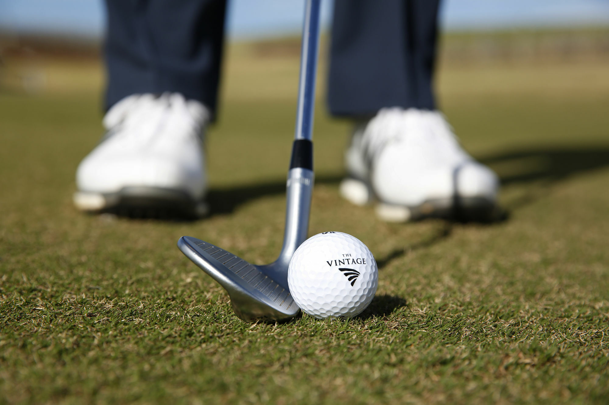 샤토 엘란 앳 더 빈티지 포콜빈 외부 사진 Golf ball and club