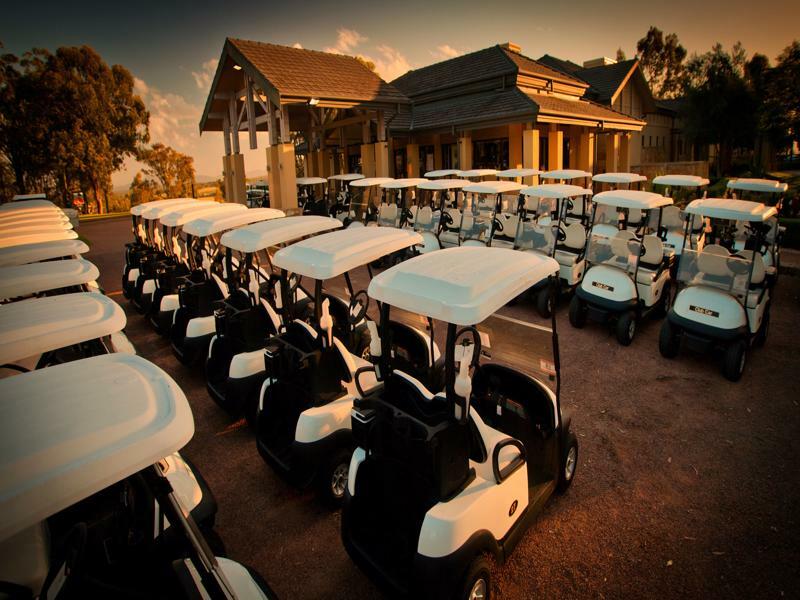 샤토 엘란 앳 더 빈티지 포콜빈 외부 사진 Golf carts at the clubhouse